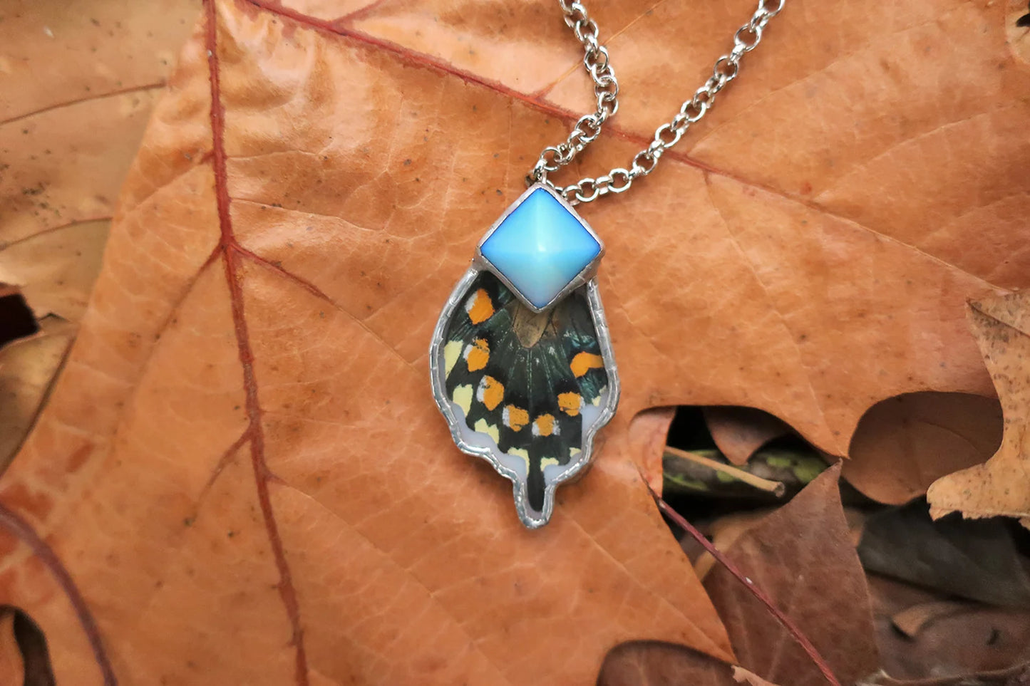 "Natus" Real Swallowtail Butterfly Iridescent Wing With Opal Pyramid Stone Silver Pendant